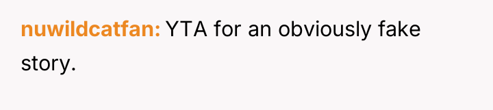 nuwildcatfan YTA for an obviously fake story.