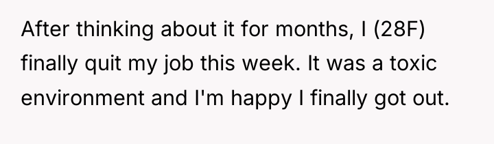 After thinking about it for months, I (28F) finally quit...