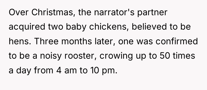 Over Christmas, the narrator's partner acquired two baby chickens, believed...