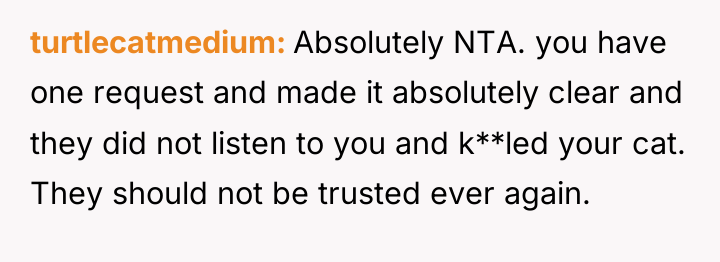 turtlecatmedium Absolutely NTA. you have one request and made it...