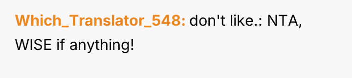 Which_Translator_548 don't like.: NTA, WISE if anything!