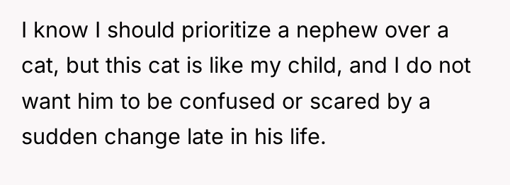 I know I should prioritize a nephew over a cat,...