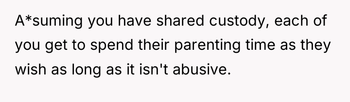 A*suming you have shared custody, each of you get to...