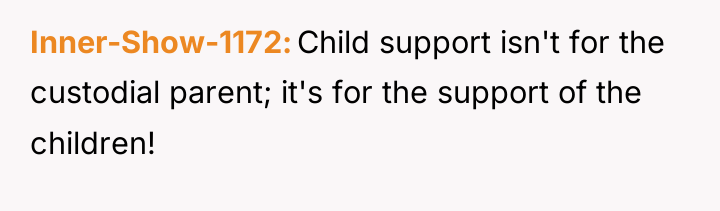 Inner-Show-1172 Child support isn't for the custodial parent; it's for...