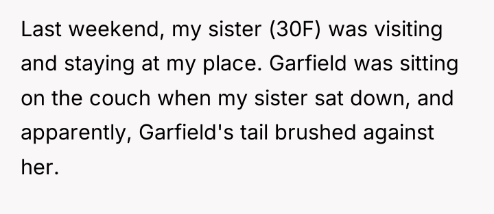 Last weekend, my sister (30F) was visiting and staying at...