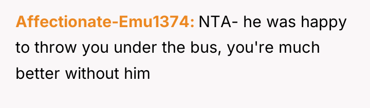 Affectionate-Emu1374 NTA- he was happy to throw you under the...