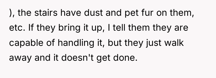 ), the stairs have dust and pet fur on them,...
