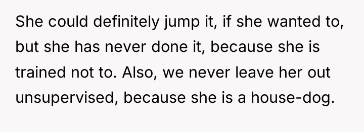 She could definitely jump it, if she wanted to, but...