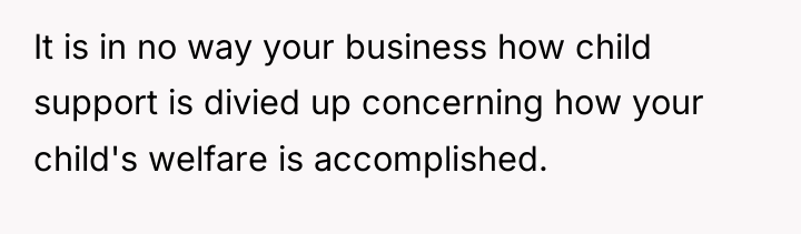 It is in no way your business how child support...