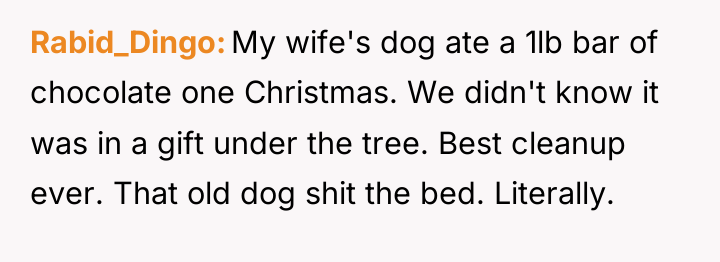 Rabid_Dingo My wife's dog ate a 1lb bar of chocolate...