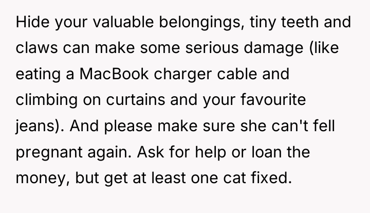 Hide your valuable belongings, tiny teeth and claws can make...