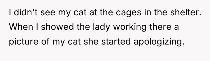 I didn't see my cat at the cages in the...