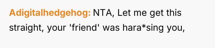 Adigitalhedgehog NTA, Let me get this straight, your 'friend' was...