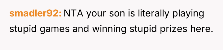 smadler92 NTA your son is literally playing stupid games and...