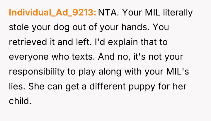 Individual_Ad_9213 NTA. Your MIL literally stole your dog out of...