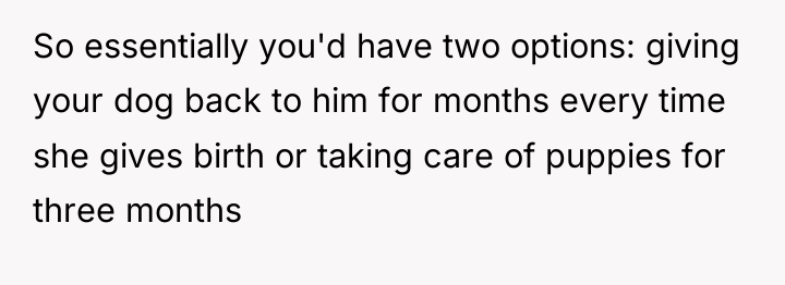 So essentially you'd have two options: giving your dog back...