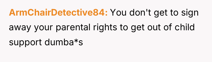 ArmChairDetective84 You don't get to sign away your parental rights...