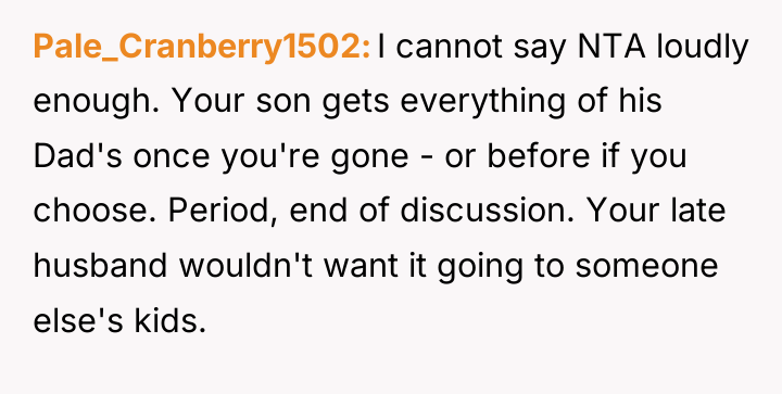 Pale_Cranberry1502 I cannot say NTA loudly enough. Your son gets...