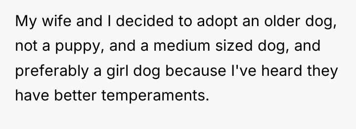 My wife and I decided to adopt an older dog,...
