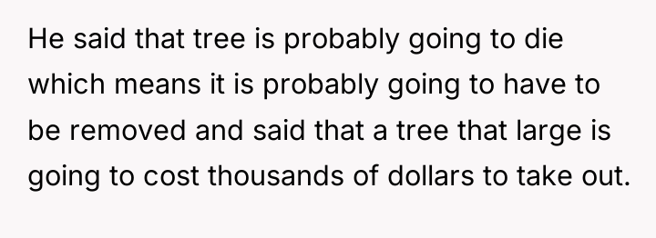 He said that tree is probably going to die which...