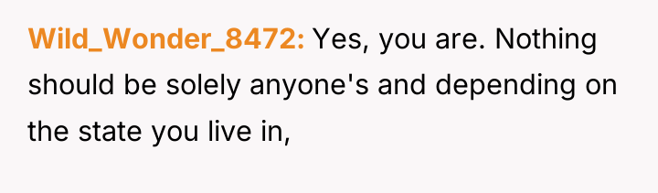 Wild_Wonder_8472 Yes, you are. Nothing should be solely anyone's and...