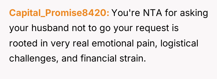 Capital_Promise8420 You're NTA for asking your husband not to go...