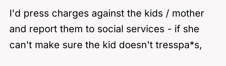 I'd press charges against the kids / mother and report...