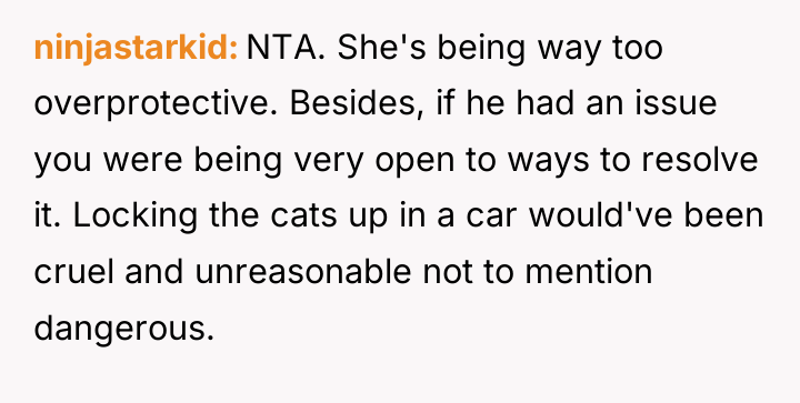 ninjastarkid NTA. She's being way too overprotective. Besides, if he...