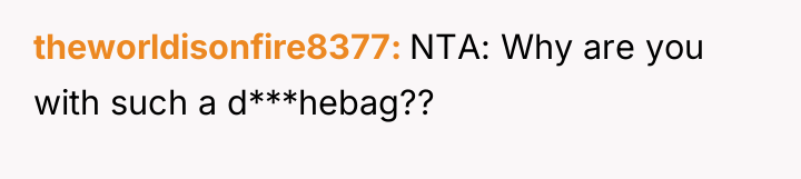 theworldisonfire8377 NTA: Why are you with such a d***hebag??