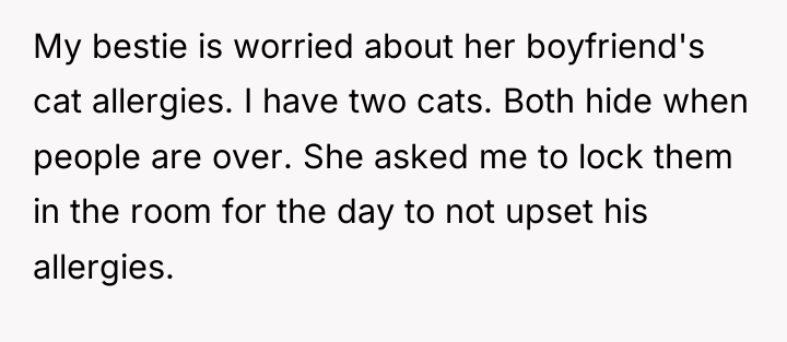 My bestie is worried about her boyfriend's cat allergies. I...