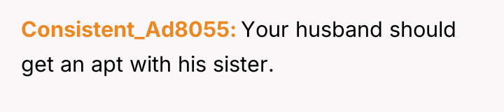 Consistent_Ad8055 Your husband should get an apt with his sister.