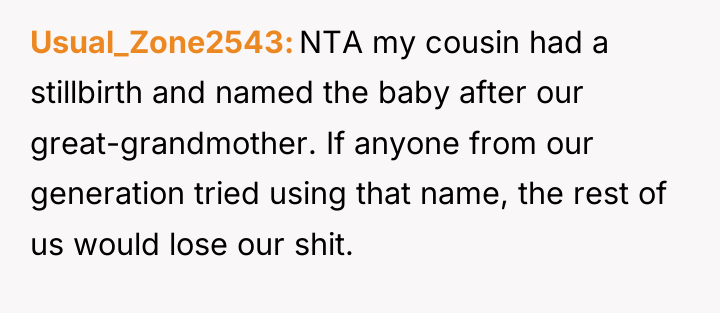 Usual_Zone2543 NTA my cousin had a stillbirth and named the...