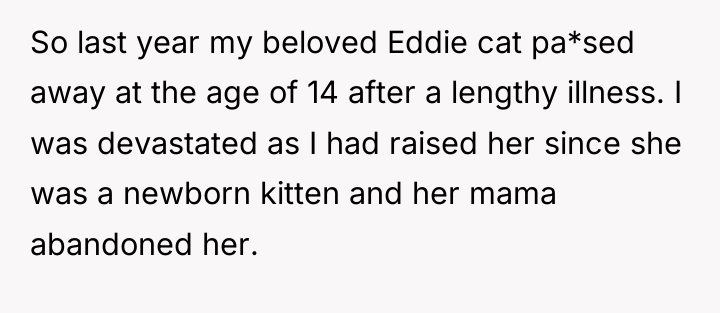 So last year my beloved Eddie cat pa*sed away at...