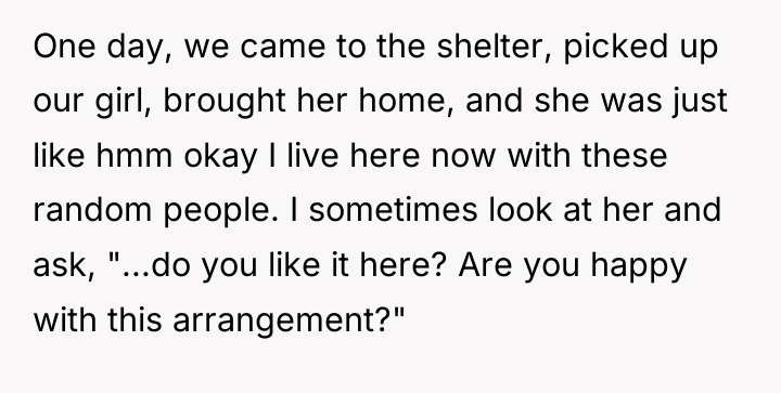 One day, we came to the shelter, picked up our...