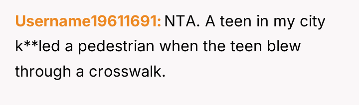 Username19611691 NTA. A teen in my city k**led a pedestrian...