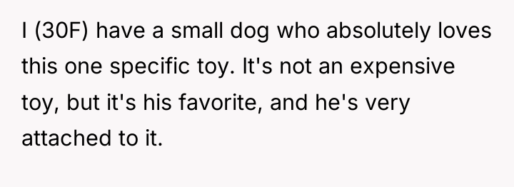 I (30F) have a small dog who absolutely loves this...