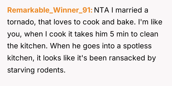 Remarkable_Winner_91 NTA I married a tornado, that loves to cook...