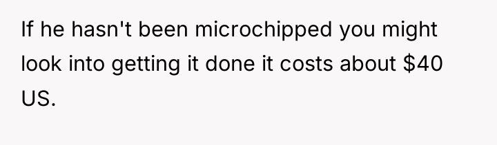 If he hasn't been microchipped you might look into getting...