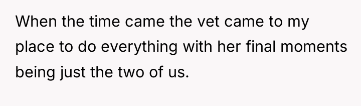 When the time came the vet came to my place...