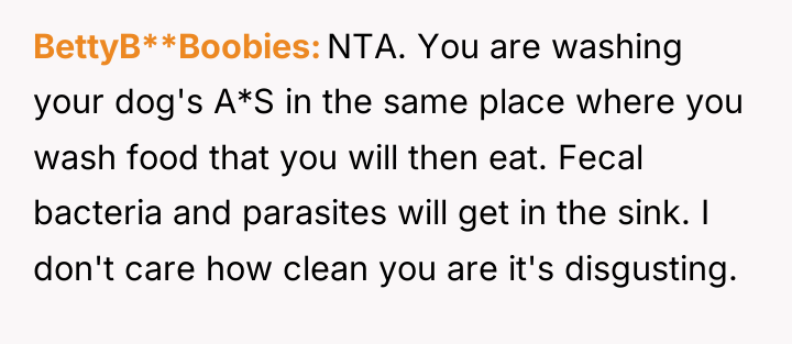 BettyB**Boobies NTA. You are washing your dog's A*S in the...