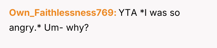Own_Faithlessness769 YTA *I was so angry.* Um- why?