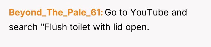 Beyond_The_Pale_61 Go to YouTube and search "Flush toilet with lid...