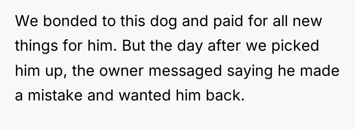 We bonded to this dog and paid for all new...