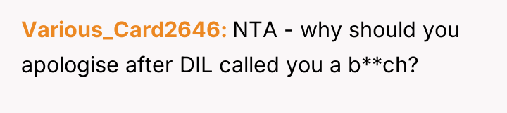 Various_Card2646 NTA - why should you apologise after DIL called...