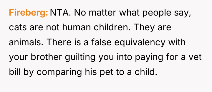Fireberg NTA. No matter what people say, cats are not...