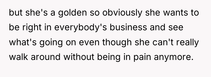 but she's a golden so obviously she wants to be...