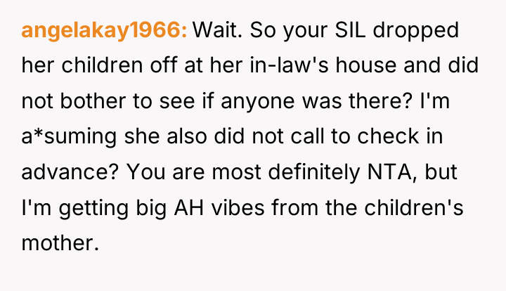angelakay1966 Wait. So your SIL dropped her children off at...
