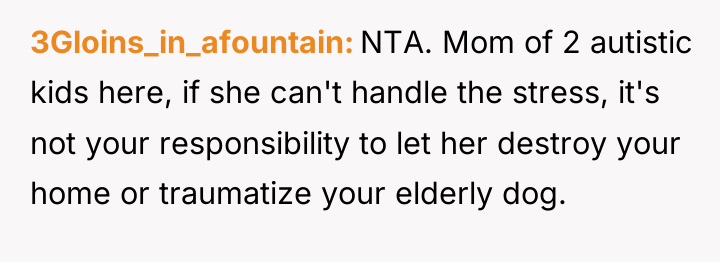 3Gloins_in_afountain NTA. Mom of 2 autistic kids here, if she...