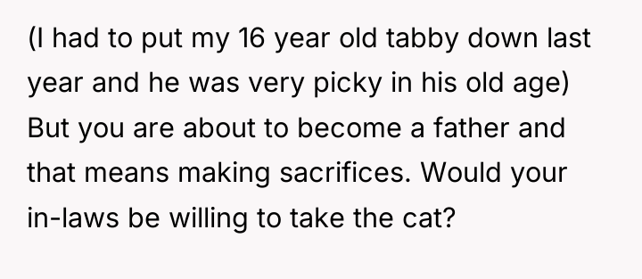 (I had to put my 16 year old tabby down...
