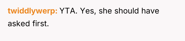 twiddlywerp YTA. Yes, she should have asked first.